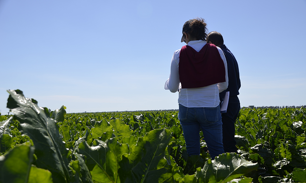 img-tecnicos-en-campo