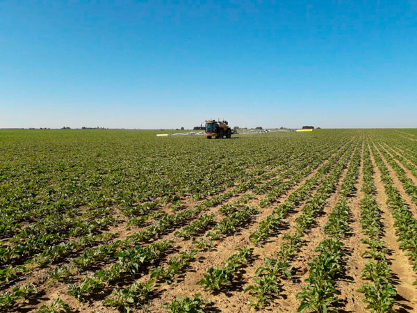 Herbiagro