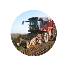 Web-Agroteo-v6_09