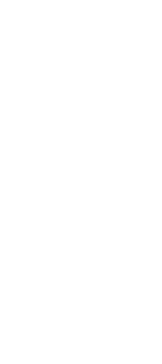 sugarbeet